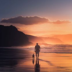 Main walking dog on beach with nice sun rise